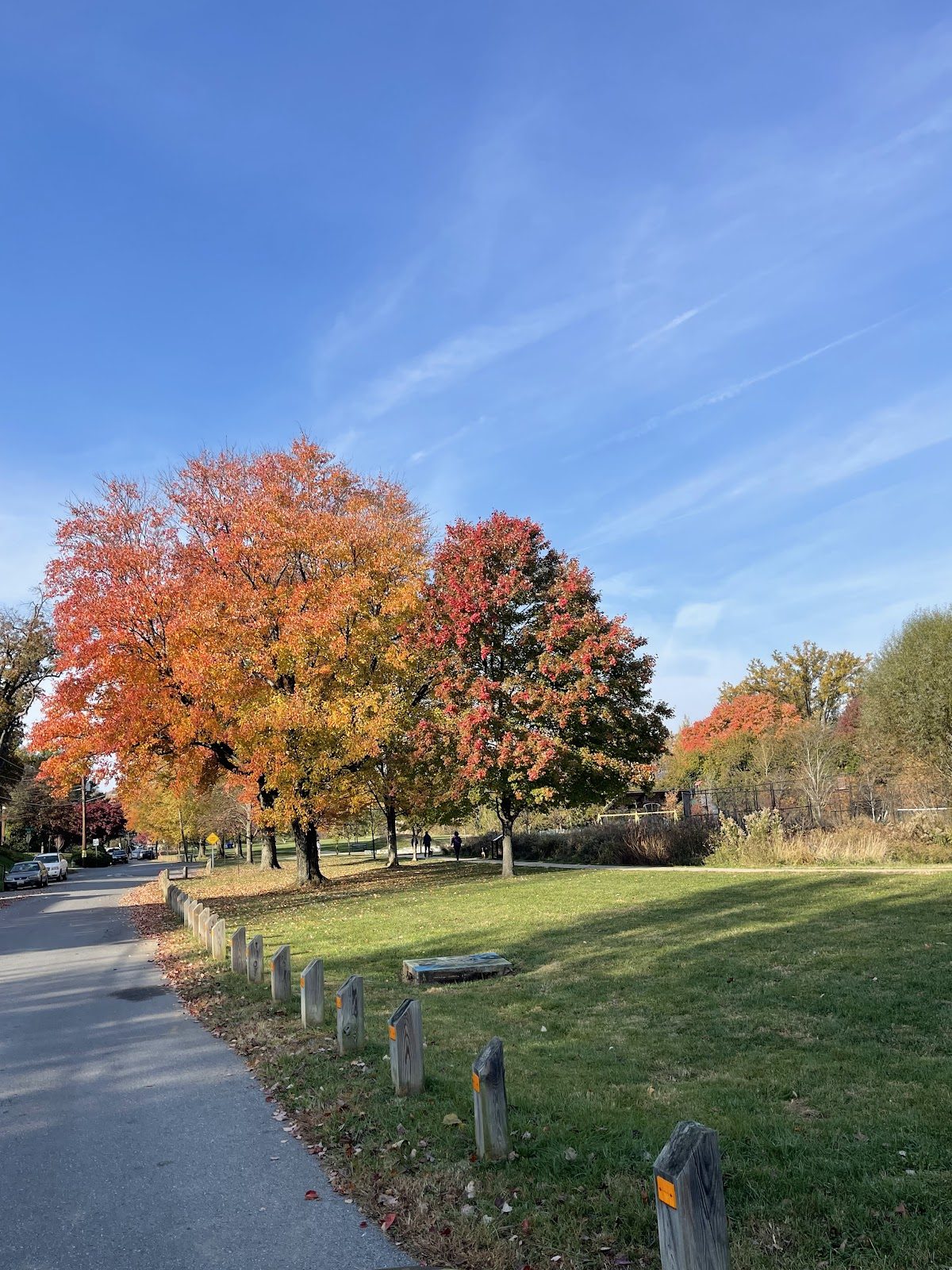 Orange and red maples in full fall color along the path at Evans Parkway Park