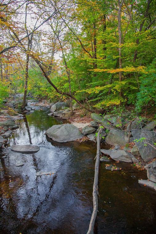 Sligo Creek in autumn