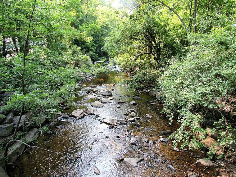 Sligo Creek